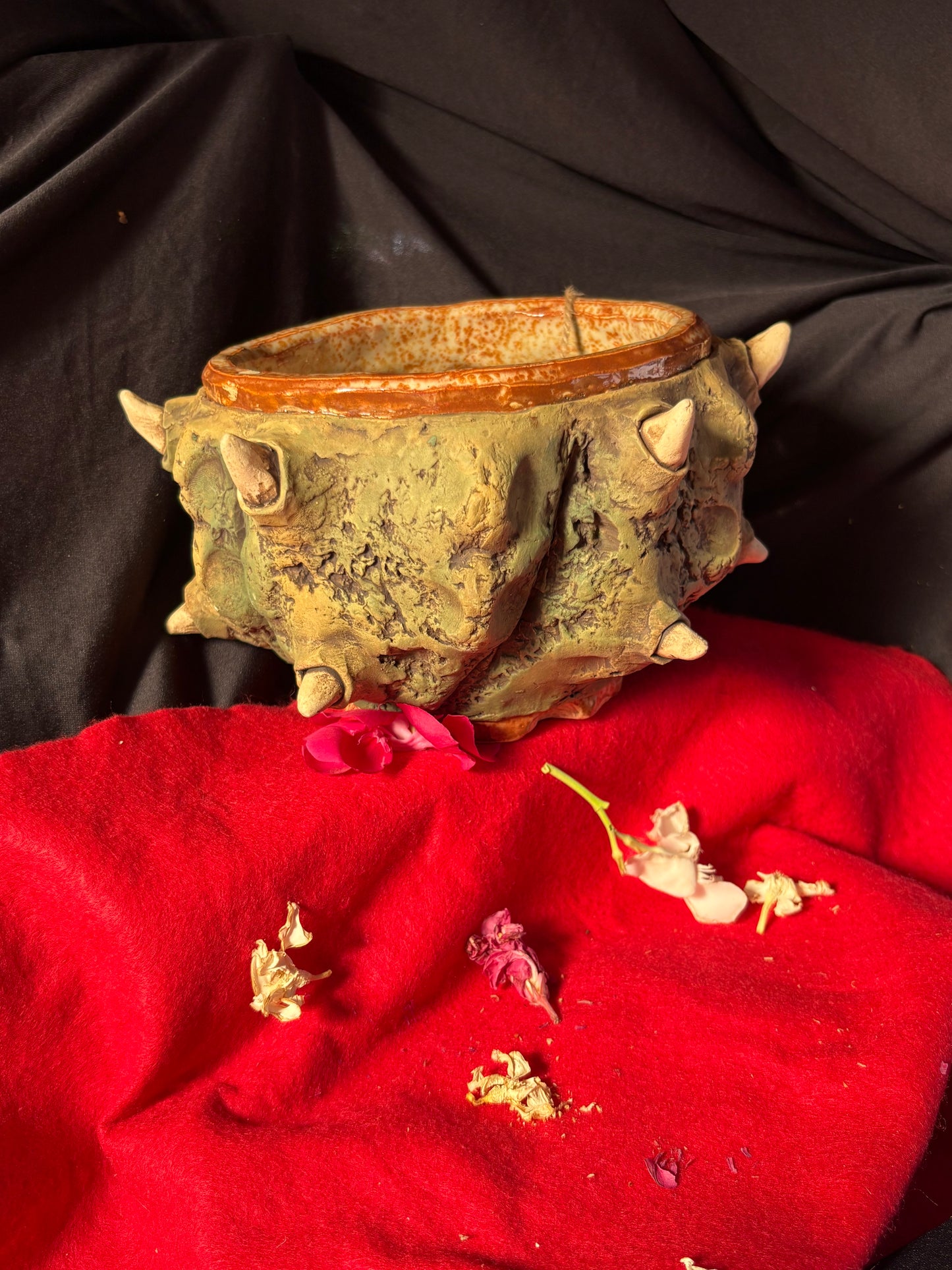 Low plant pot