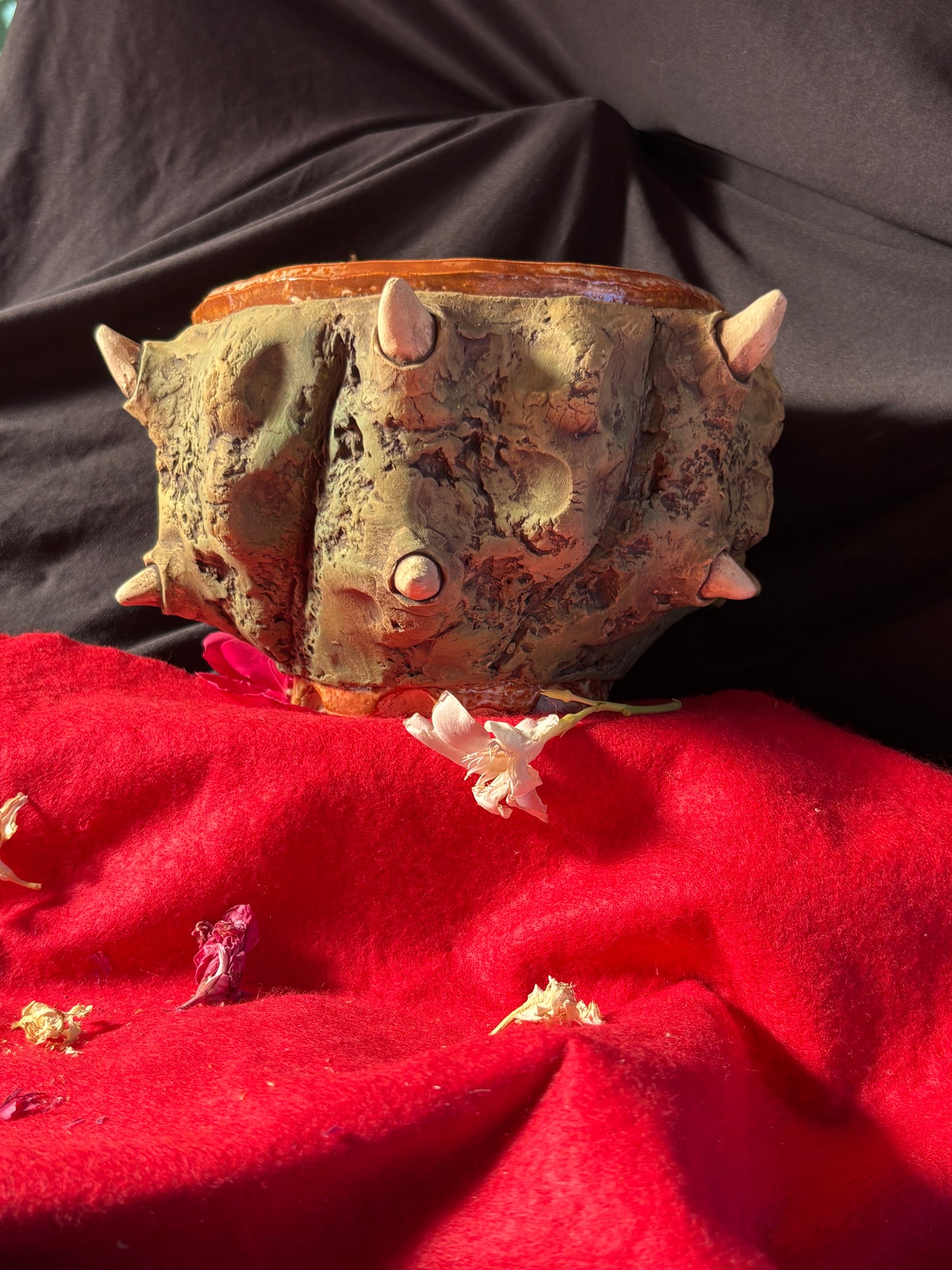 Low plant pot