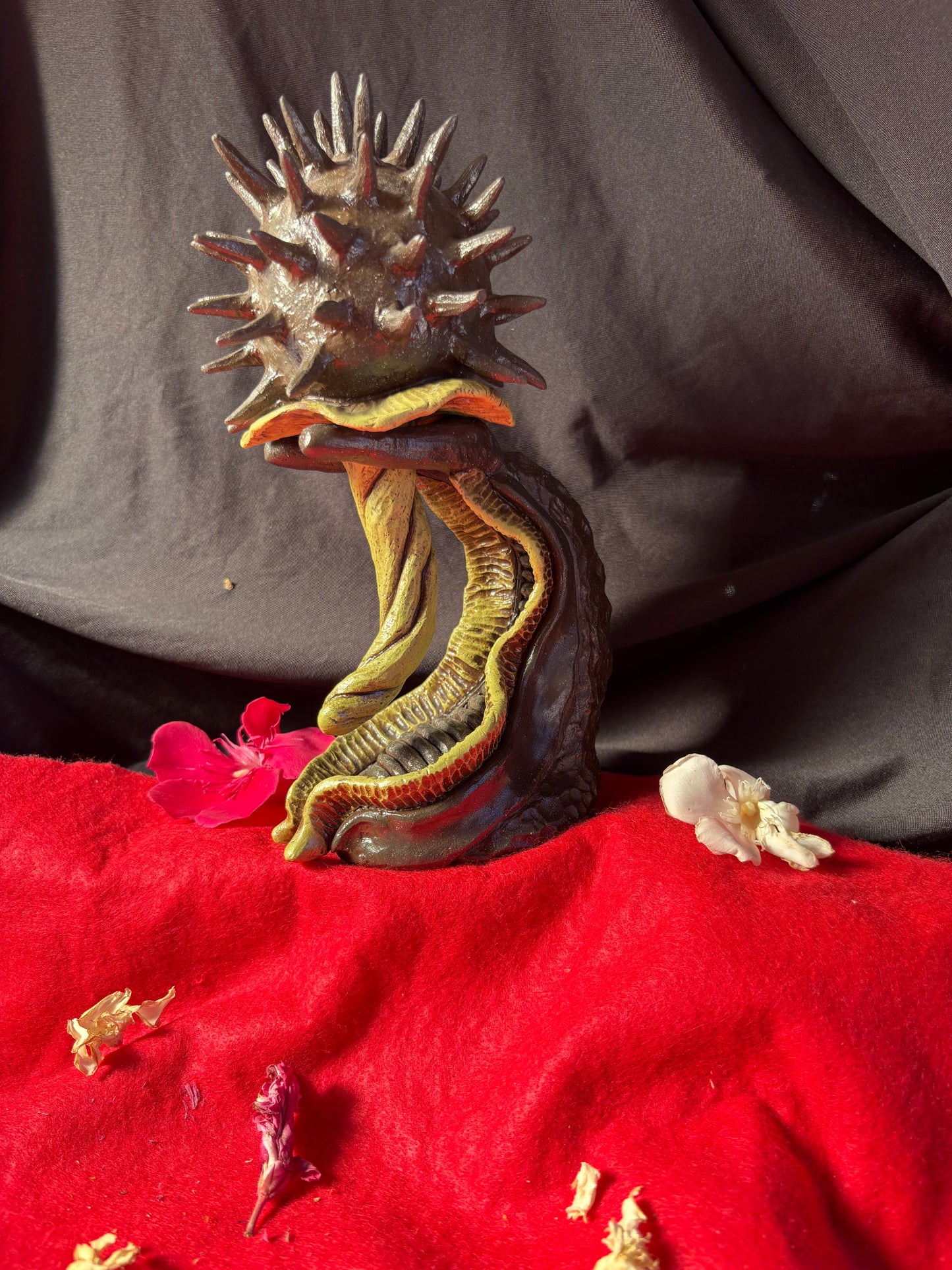 Datura Maraca