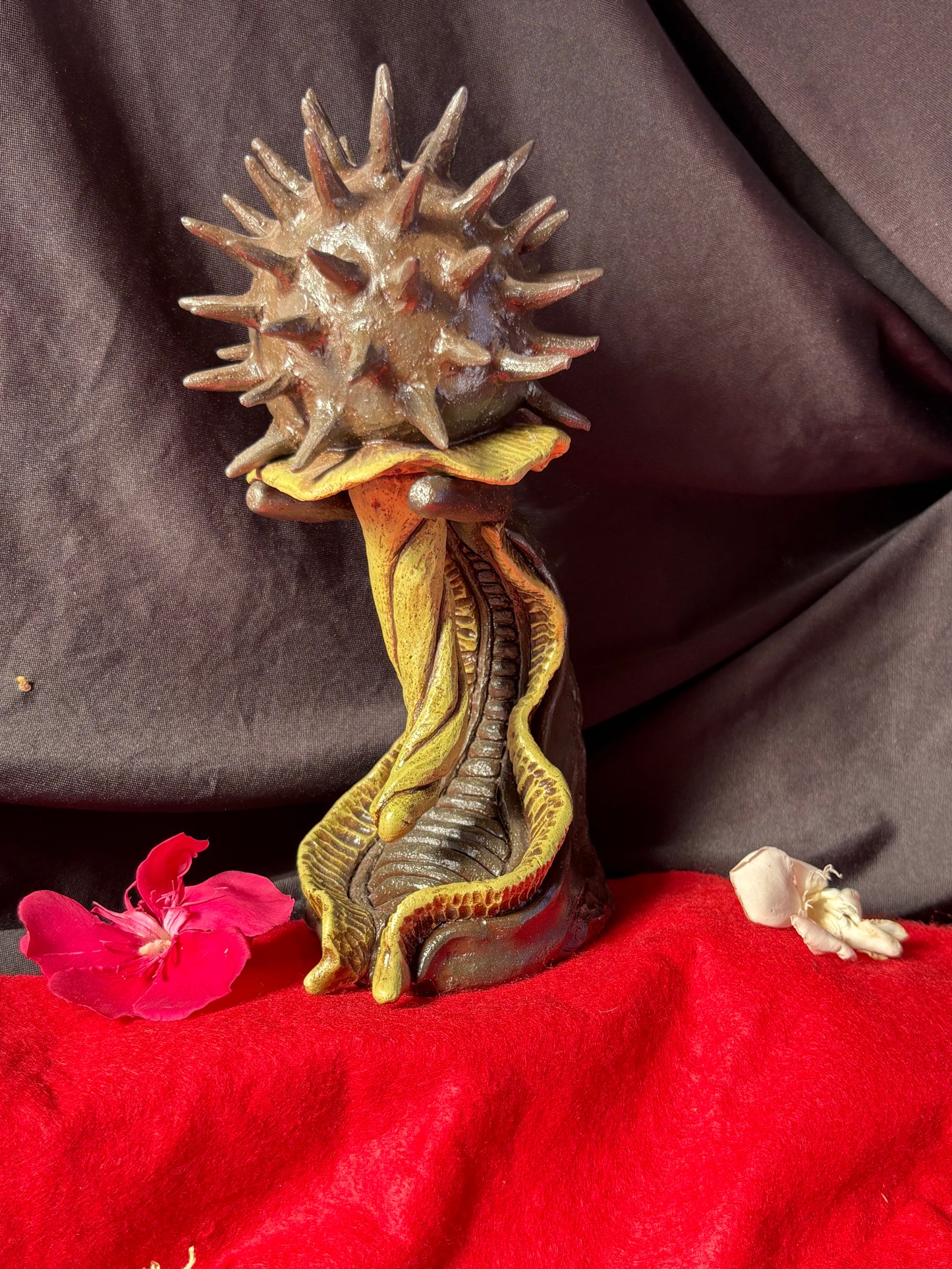 Datura Maraca